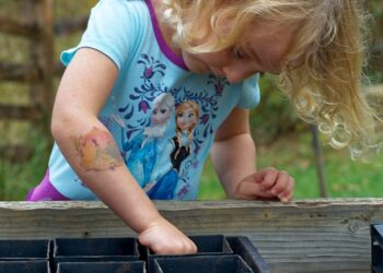 Unlocking the Future: Engaging Educational Toys for Toddler Development