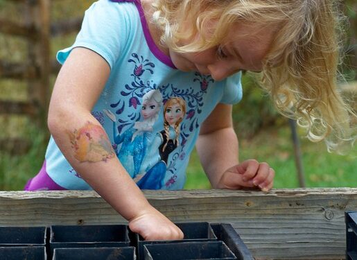 Unlocking the Future: Engaging Educational Toys for Toddler Development