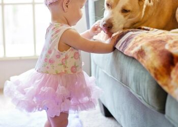 Unlocking the Key Moments: A Guide to Toddler Milestones Chart