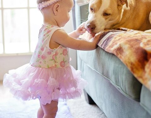 Unlocking the Key Moments: A Guide to Toddler Milestones Chart