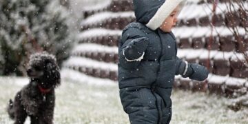 Spark Their Senses: The Ultimate Guide to Sensory Play for Toddlers