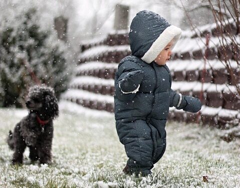 Spark Their Senses: The Ultimate Guide to Sensory Play for Toddlers