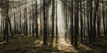 Fun and Fit: Engaging Kids in Active Play and Exercise