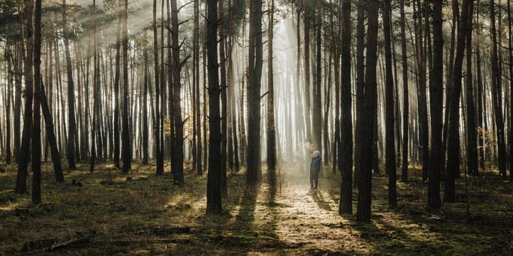 Fun and Fit: Engaging Kids in Active Play and Exercise