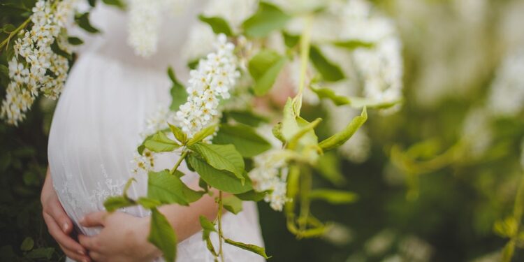 The Insatiable Cravings: A Journey through Pregnancy’s Culinary Delights